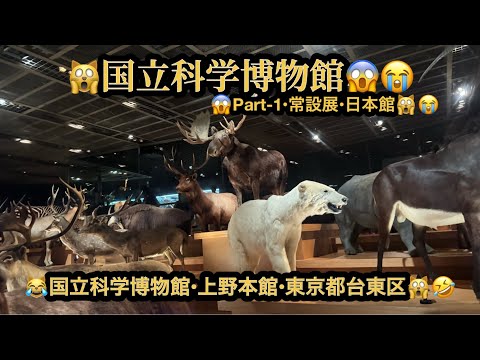 【４Ｋ】🙀国立科学博物館・PART-1（日本館）😱常設展・上野公園(22m51s)🤣#ヒーリング#Healing #riokazumiのピアノ語り