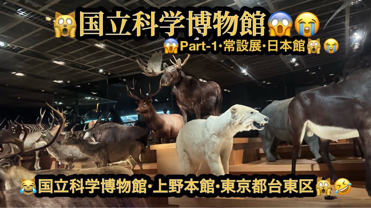 【4K映像】国立科学博物館・日本館＆上野公園の魅力を一挙紹介✨