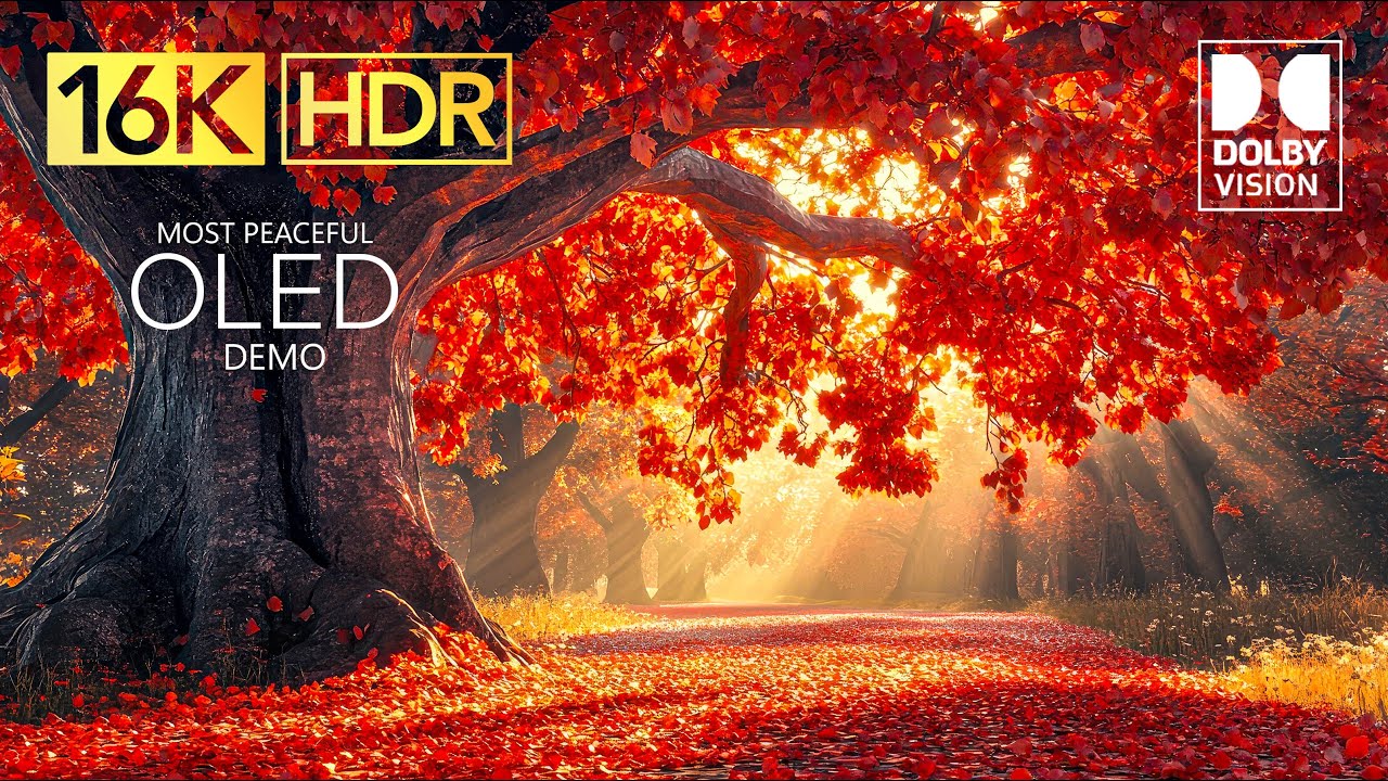 Ultimate OLED Test Demo: 16K Ultra HD, 240 FPS, Dolby Vision HDR 🌟