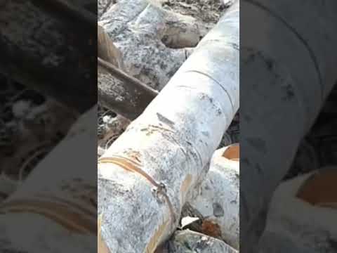 STIHL Chainsaw #chainsaw #stihl #wheelsaw #chainsawstihl #wood #shorts #3711