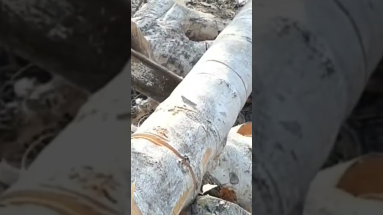 Powerful STIHL Chainsaw in Action! Perfect for Wood Cutting π₯