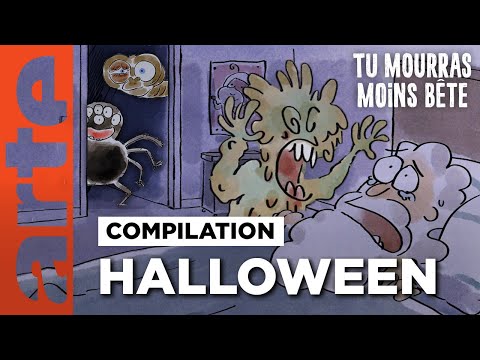Halloween | Compilation | Tu mourras moins bête avec ARTE