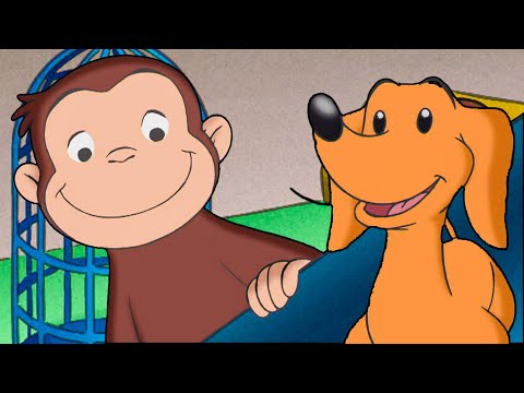 ¡La misión de rescate perruna! | Jorge El Curioso En Español