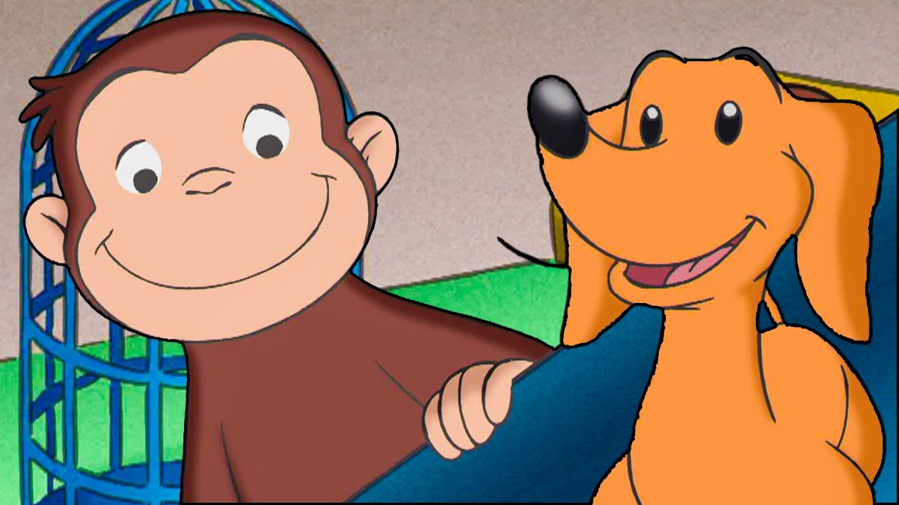 ¡Aventura de Rescate! 🐶 Jorge El Curioso Ayuda a Hundley a Recuperar su Collar