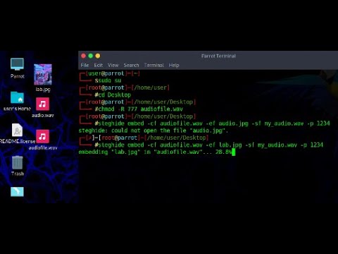 Hiding data in an Audio: Audio Steganography using Steghide