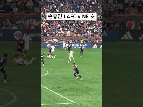 손흥민 회심의 슈팅 ☄️ LAFC v NE #heungminson #lafc #soccer #손흥민 #축구 #trending #sonny #mls #shorts