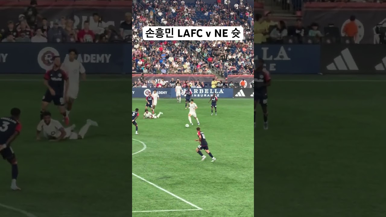 손흥민의 결정적인 슈팅! ⚽ LAFC vs NE 하이라이트