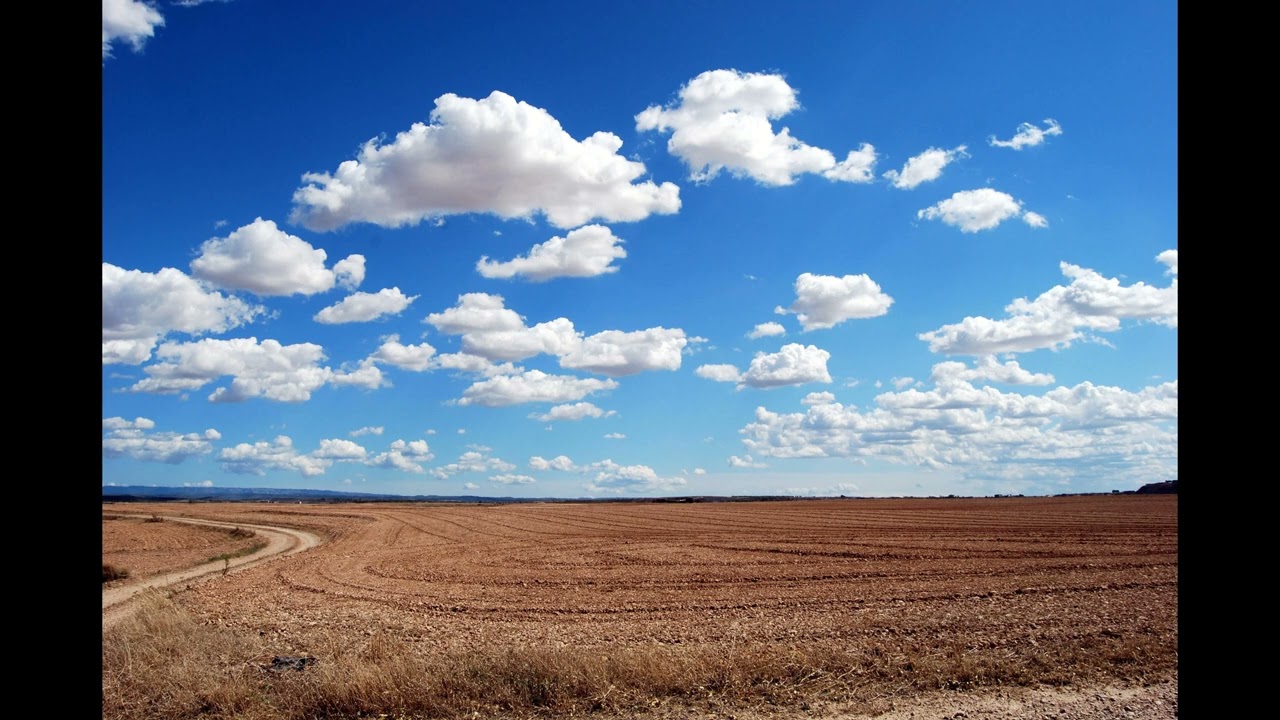 Paul van Dyk - We Are Alive 🎶