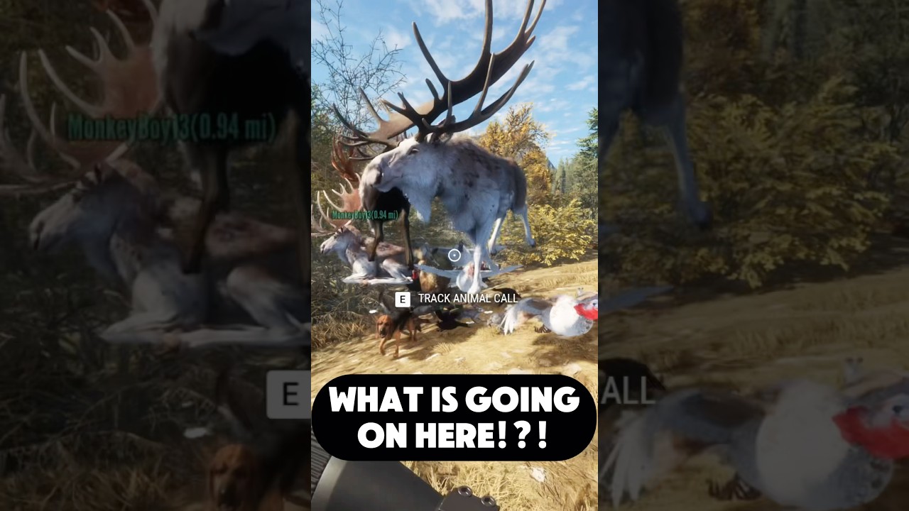 Modder of the Week Exposed in The Hunter: Call of the Wild 🎮