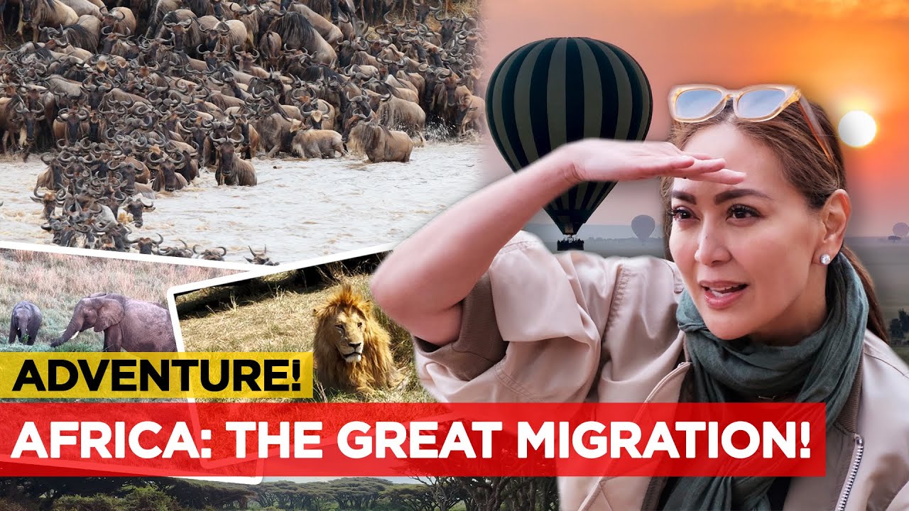 Spectacular River Crossing of 1M Animals 🦓 | Karen Davila Ep221