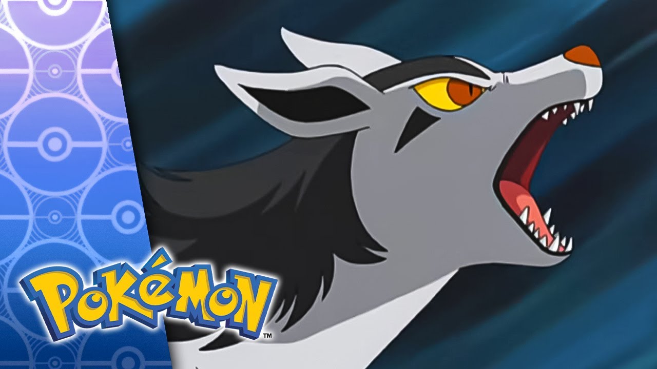 Pokémon S6E11: Max's New Poochyena 🐾