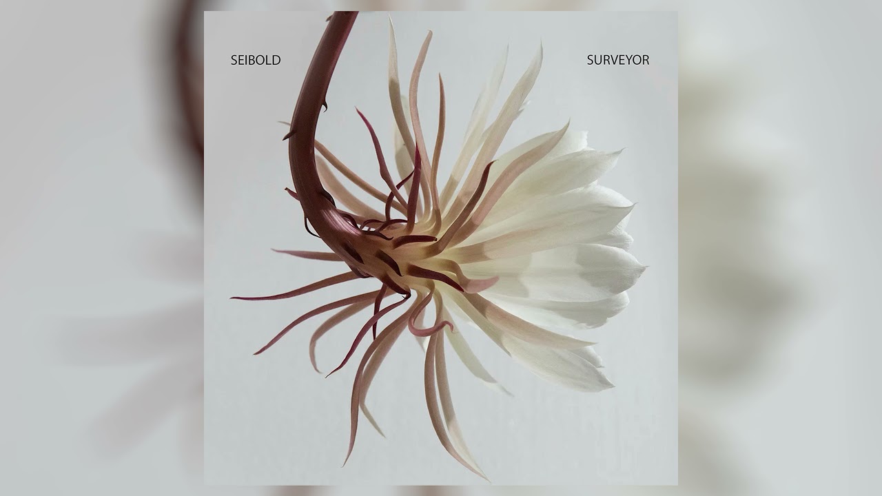 Seibold - "Are We Alive (feat. Surveyor)" (Official Audio)