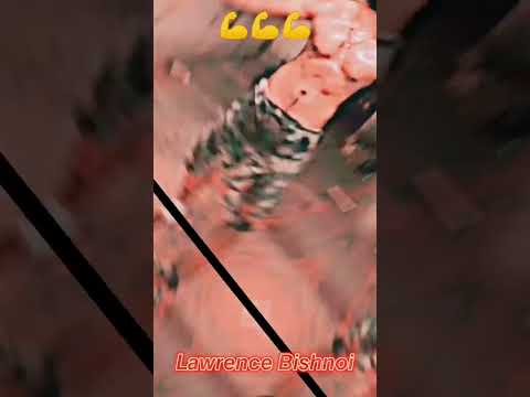 Lawrence Bishnoi King off Indian gangster 😈😎💪#lawrencebishnoi #lawrencebishnoiegroup #gangstermusic