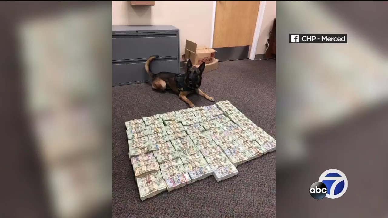 CHP K-9 Bruce Discovers $500,000 Hidden in Car During Traffic Stop 🚓