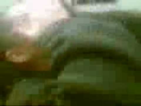 Highfields Girl Surprises with Double Eyeball 👀