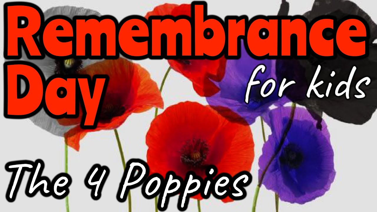 Why Are There 4 Different Poppy Colors for Remembrance Day? 🌺 | Miss Ellis Explained