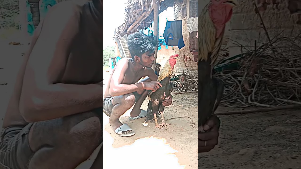 Aadukalam: Thanush's Powerful Dialogue π₯