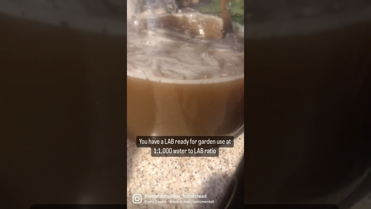 Guide to Setting Up a KNF Lab 🌱