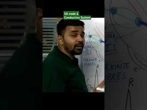 SA Node & Conductive System of Heart #heart #cardio #cardiology #physiology #pump #drmedictalks