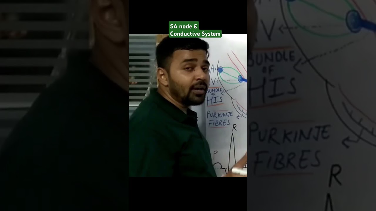 Understanding the Heart's Electrical System & Arrhythmias ⚡