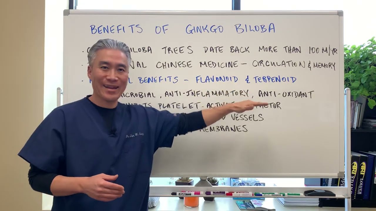 Ginkgo Biloba Benefits: Memory & Circulation 🌿