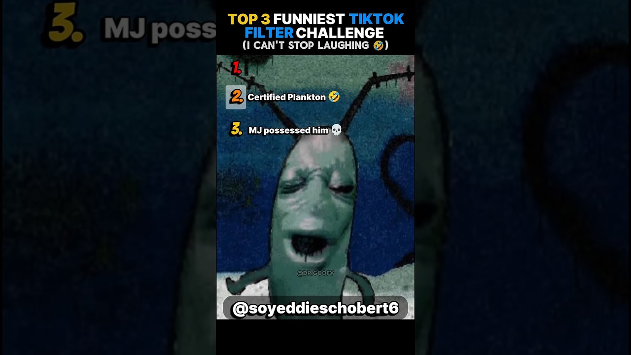 Top 3 Hilarious TikTok Filter Challenge Moments 😂