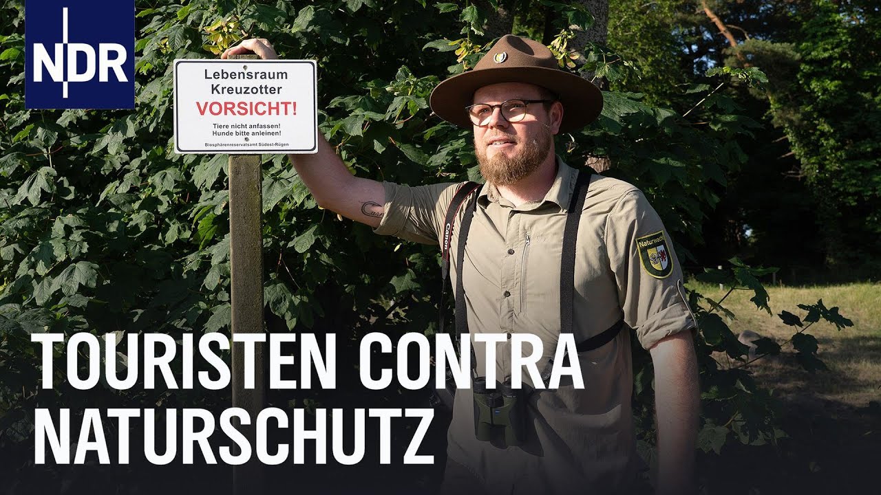 Wildes Rügen: Zwischen Tourismus und Artenschutz 🌿 | NDR Nordreportage