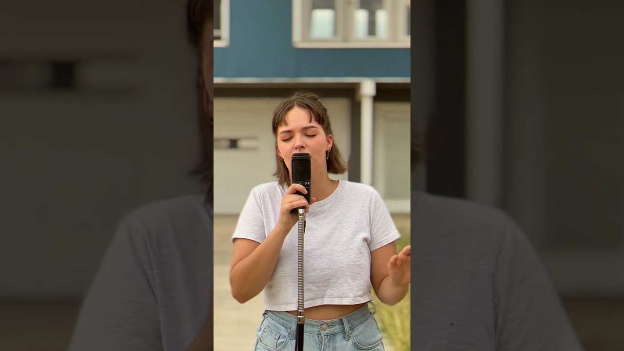 Everybody Loves an Outlaw - I see red #everybodylovesanoutlaw #iseered #cover #coversong #singer #yt