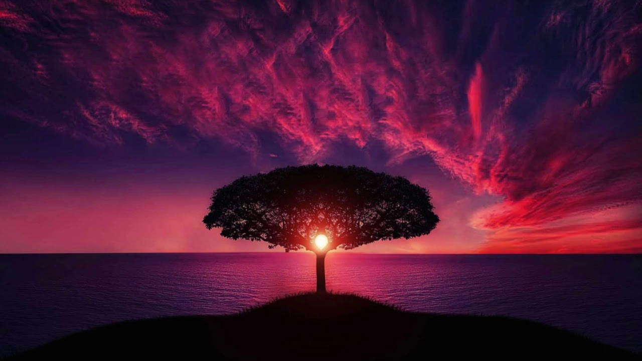 Ondes Delta pour un Sommeil Profond 💤