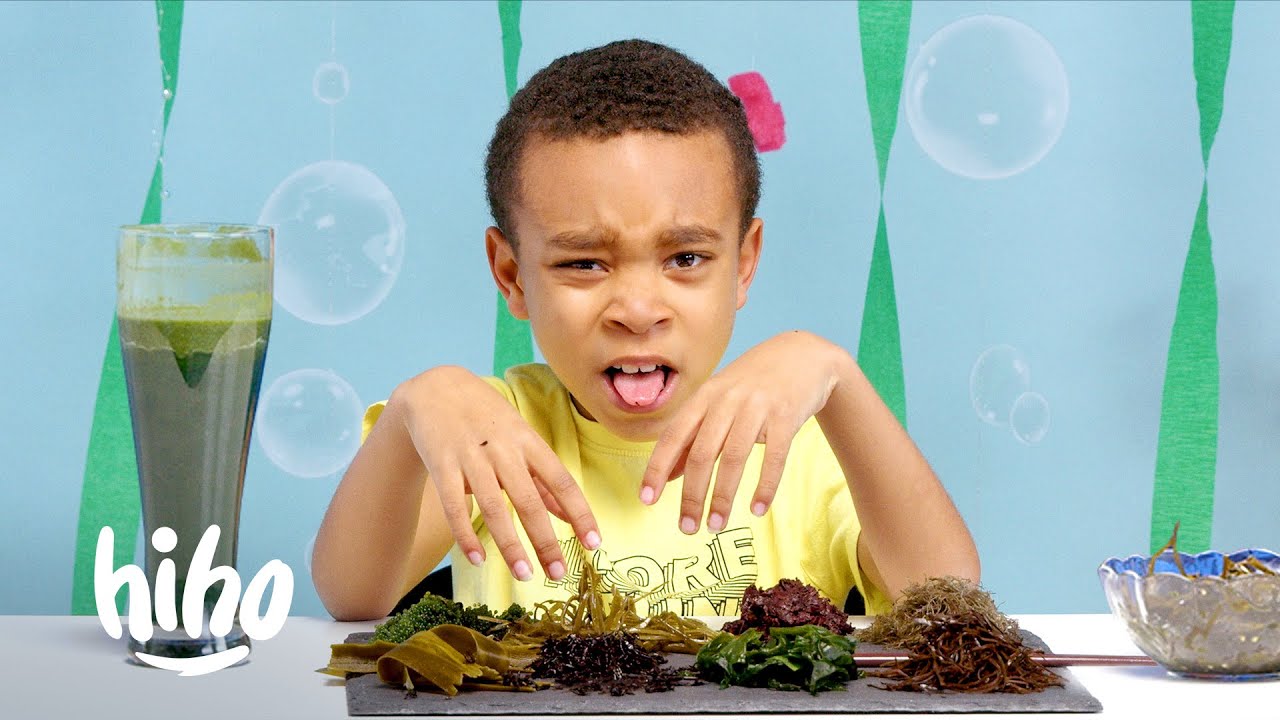 Kids Explore Underwater Plants 🌊 | HiHo Kids