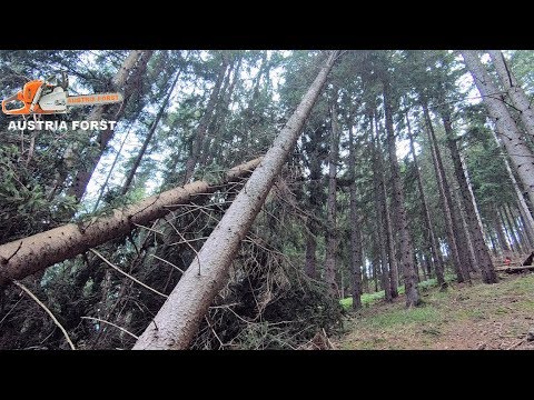 Da hilft nur noch die Seilwinde…