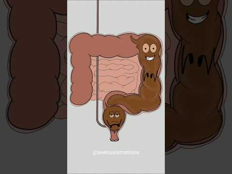 how poop system works! π€£π (best animation memes) #shorts