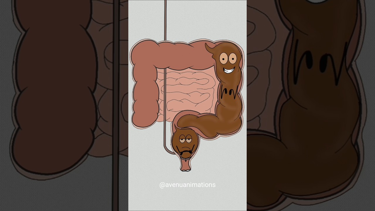 How the Poop System Works! 💩 (Funny Animation Meme)