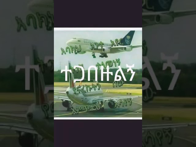 Ayizon Wudoche: Tanikari Balu