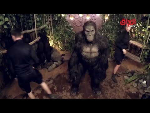 أقوى مواجهة بين آسر ياسين ورامز جلال في رامز في الشلال