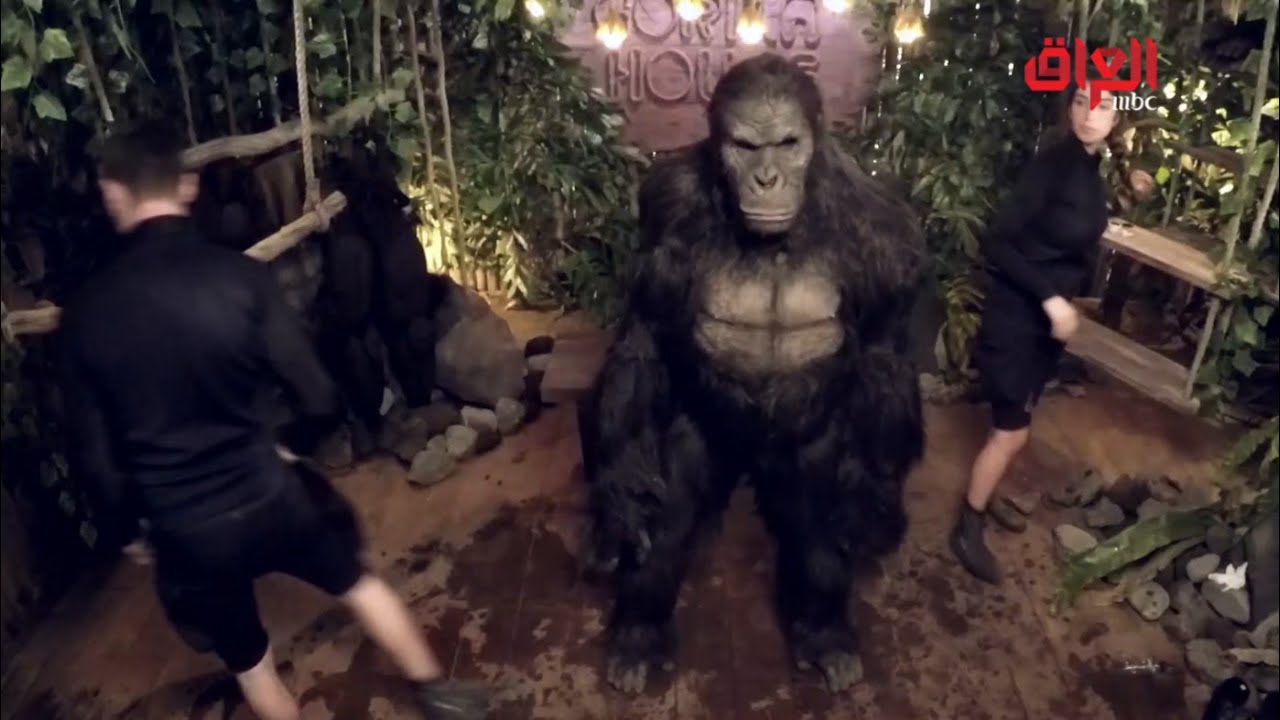 مواجهة قوية بين آسر ياسين ورامز جلال في رامز في الشلال