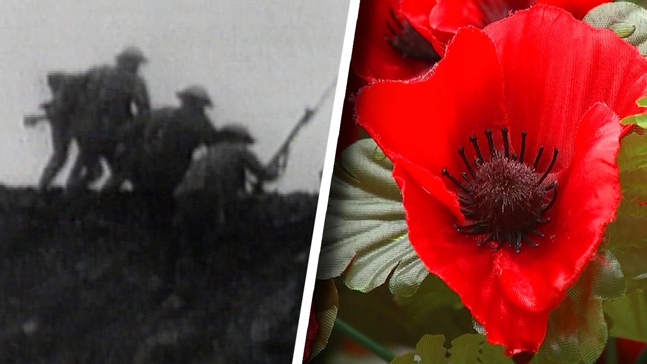 Remembrance Day & The Significance of the Poppy 🌺