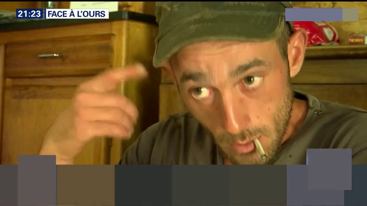 2018 : Berger harcelé par un ours des Pyrénées 🐻