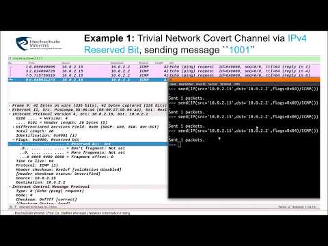 Network Information Hiding, Chapter 4 (Fundamentals of Network-based Information Hiding)