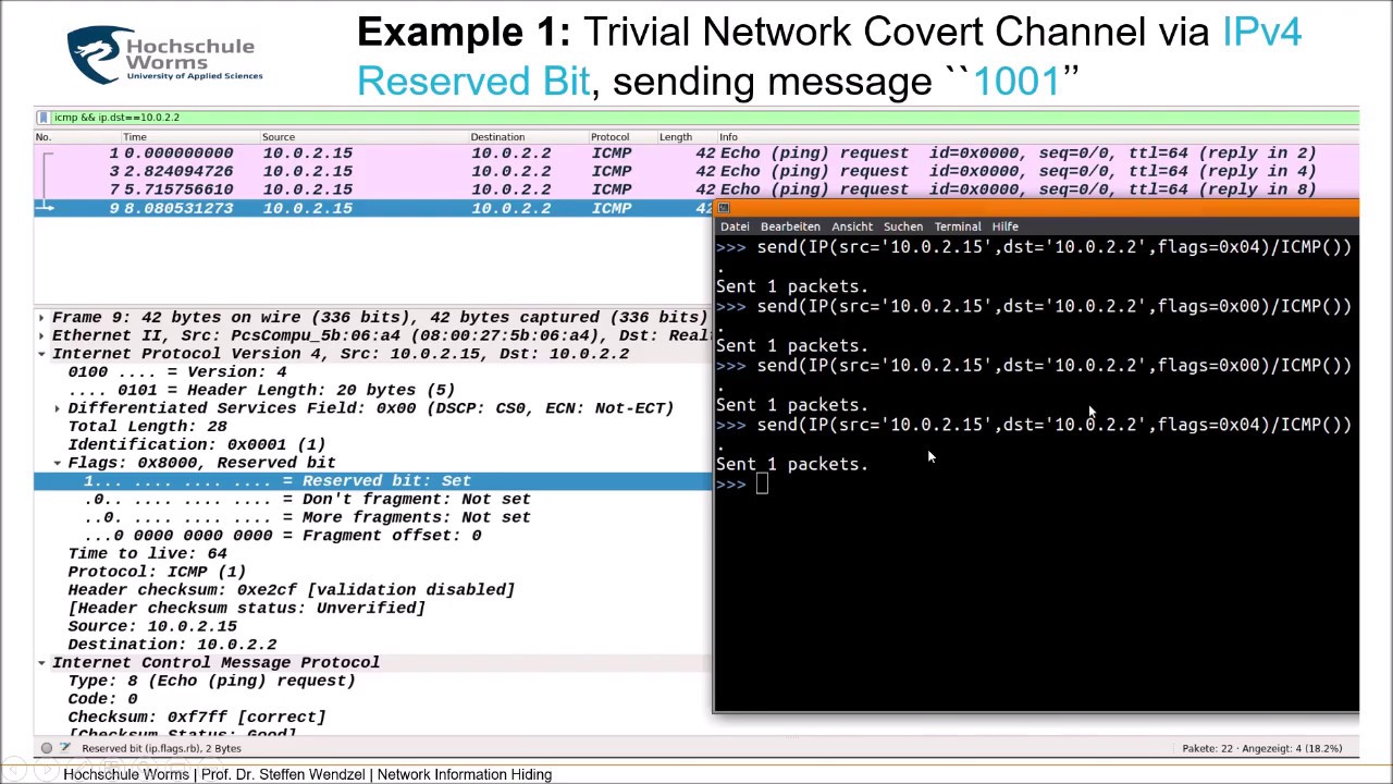 Network Information Hiding, Chapter 4 (Fundamentals of Network-based Information Hiding)