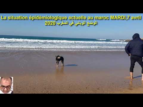 La situation épidémiologique actuelle au maroc MARDI 7 avril 2020 الوضع الوبائي في المغرب