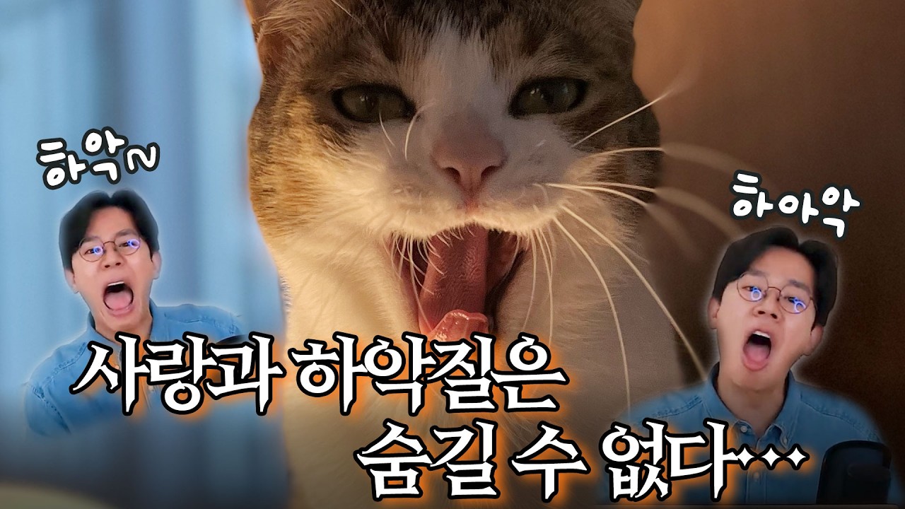 하악질도 옮을까? 전염설과 해답🙀