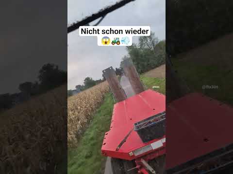 Nicht schon wieder 😵‍💫 #rüben #maus #agriculture #tractor #landwirtschaft #farmlife #shorts #foryou