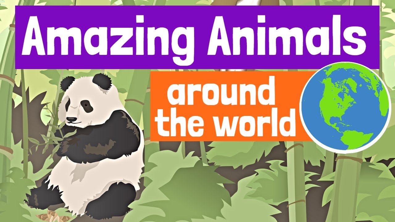 Amazing Animals Worldwide for Kids 🐾