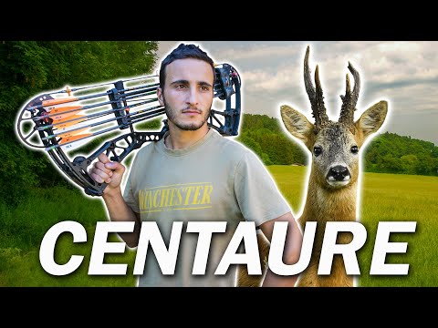 Chasse à l'Arc du Chevreuil : l'Histoire de Centaure ! [Chasser-Cuisiner-Manger]