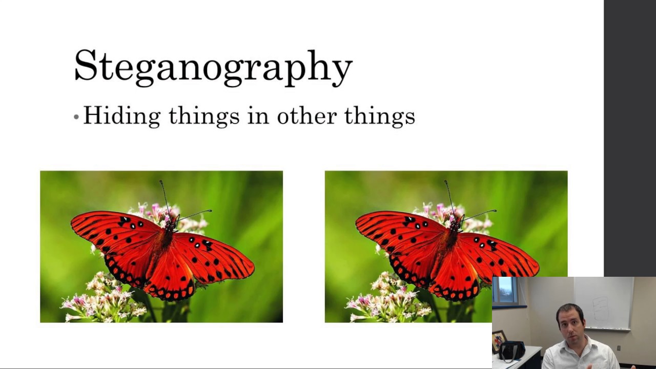 Essential Security Tips You Need to Know 🔒