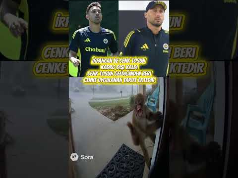 Cenk Tosun Ve İrfancan Kahveci Kadro Dışı Kaldı #alikoç #fenerbahçehaberleri #fenerbahçe #fbtv