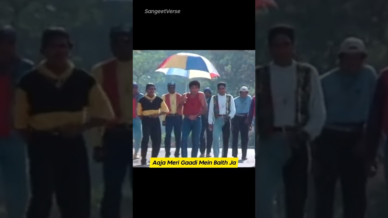 Best Anu Malik Playback Songs 🎶