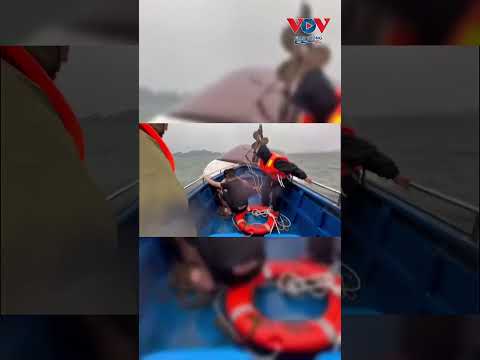 Lật tàu du lịch chở 53 người trên vịnh Hạ Long, nhiều nạn nhân mất tích #vovgiaothong