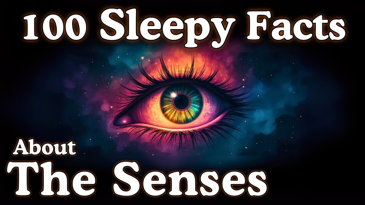 Relaxing Facts About Senses to Help You Sleep π